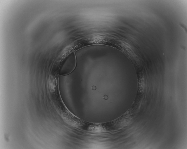 X0000102240503200808011251