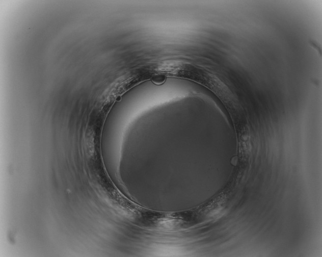 X0000102240504200808011251