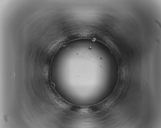 X0000102240505200808011251