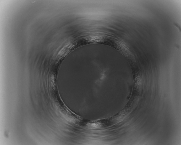 X0000102240506200808011251