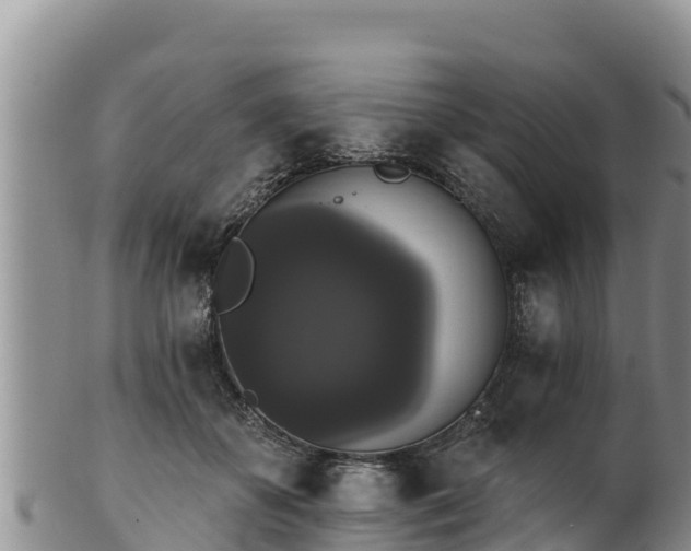 X0000102240507200808011251