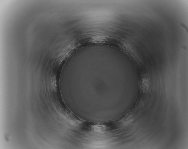 X0000102240508200808011251