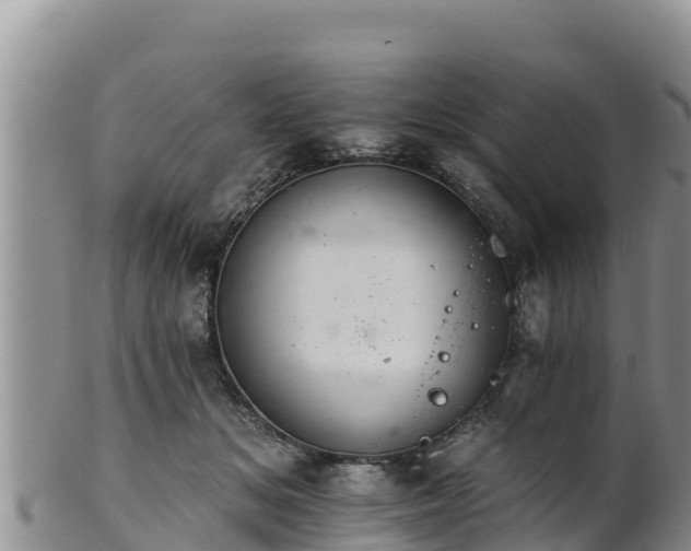 X0000102240509200808011251