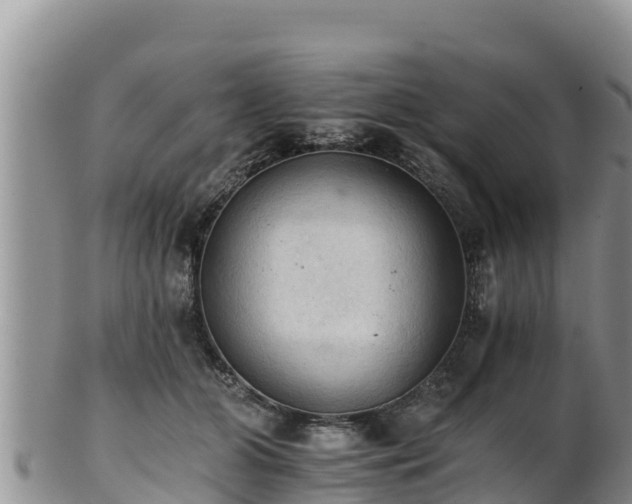 X0000102240510200808011251