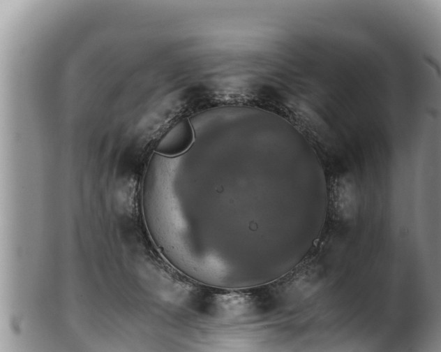 X0000102240511200808011251