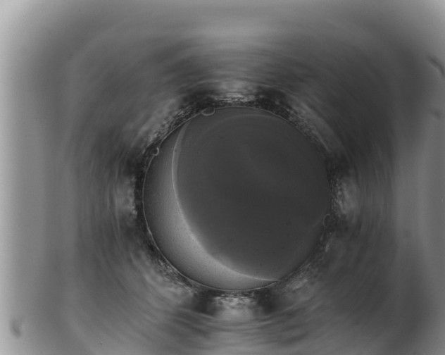 X0000102240512200808011251