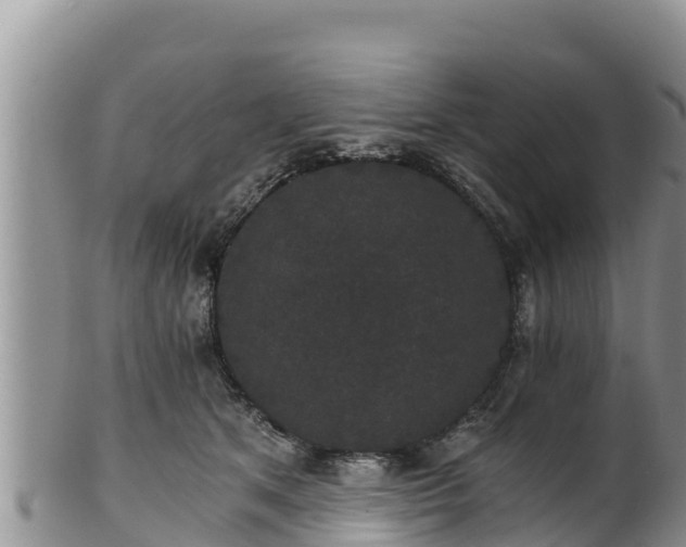 X0000102240513200808011251