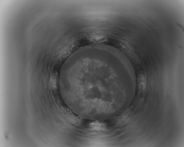 X0000102240515200808011251