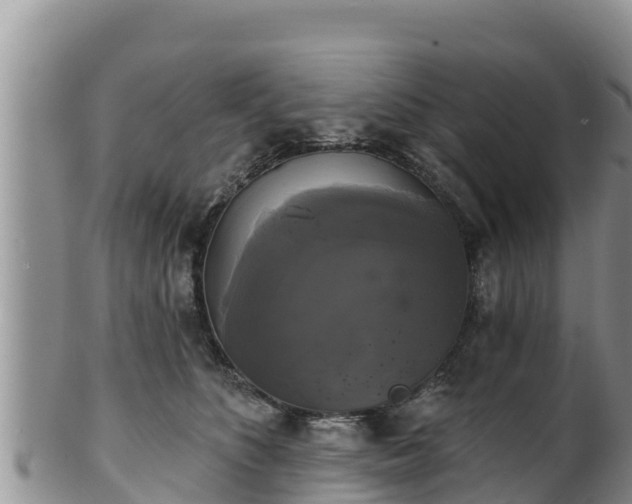 X0000102240516200808011251