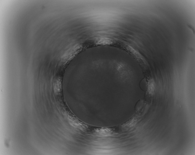 X0000102240517200808011251