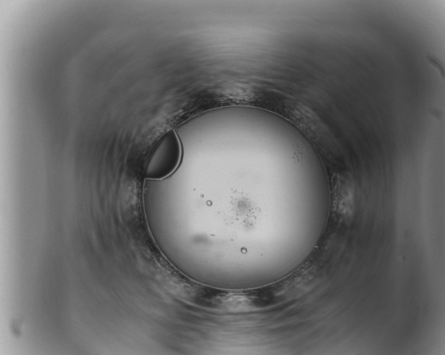 X0000102240518200808011251