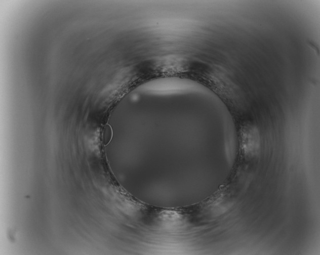 X0000102240519200808011251