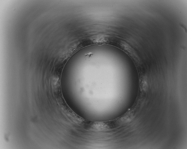 X0000102240521200808011251