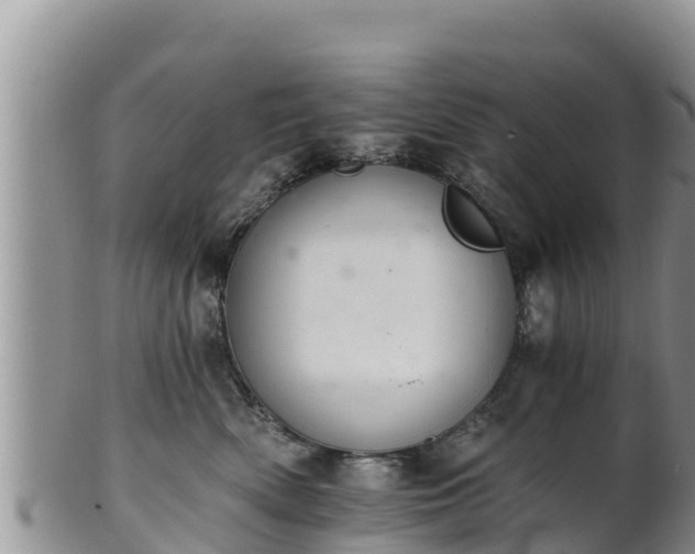 X0000102240522200808011251