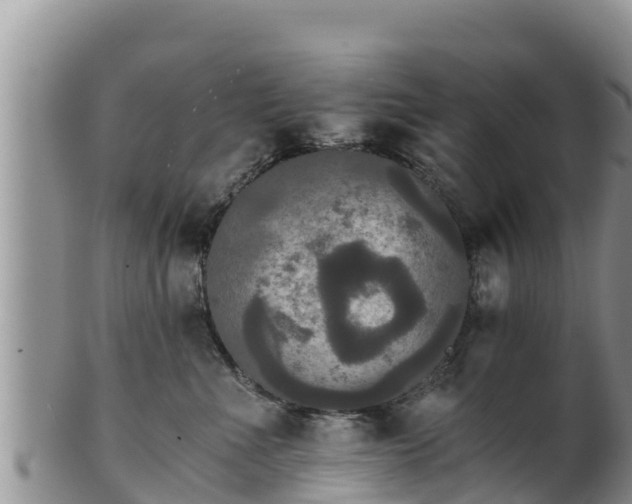 X0000102240523200808011251