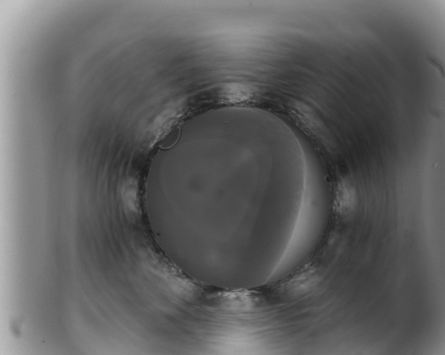 X0000102240524200808011251