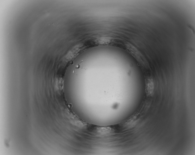 X0000102240525200808011251