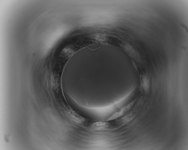 X0000102240526200808011251