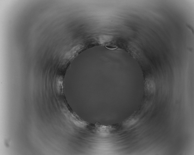 X0000102240527200808011251