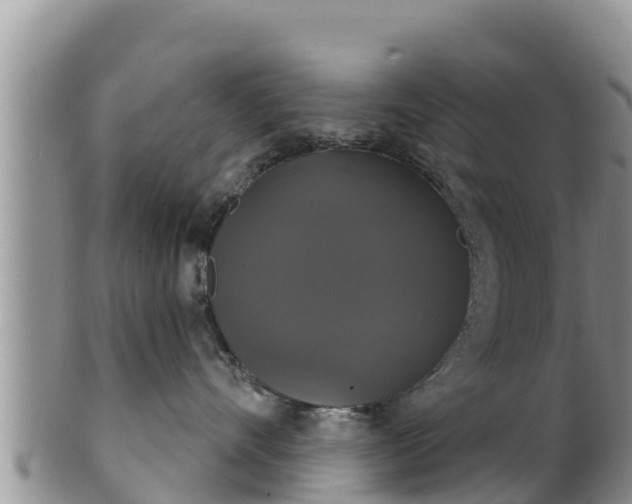 X0000102240528200808011251