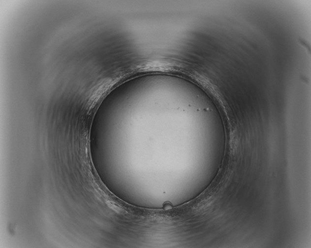 X0000102240529200808011250