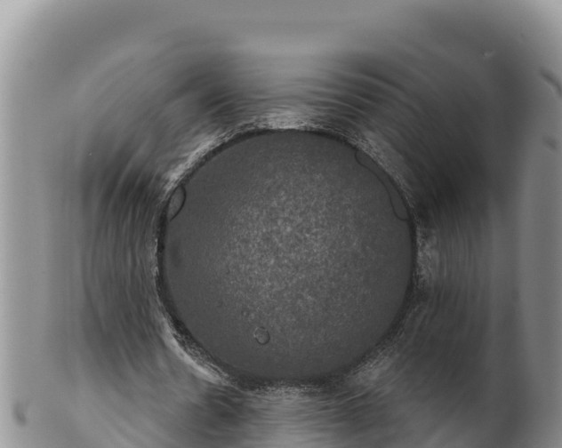 X0000102240530200808011250