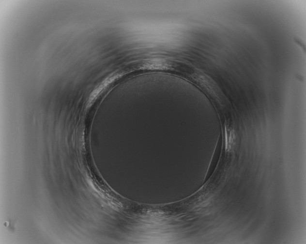 X0000102240531200808011250