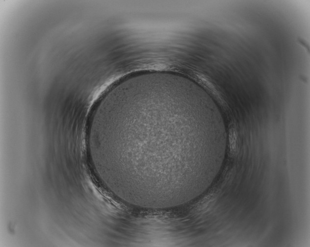 X0000102240532200808011250