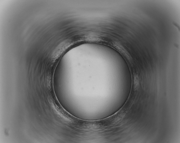 X0000102240533200808011250