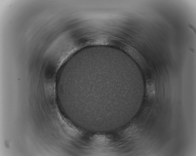 X0000102240534200808011250