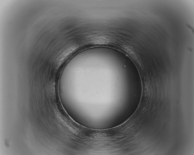 X0000102240535200808011250