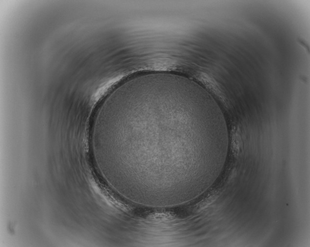 X0000102240536200808011250