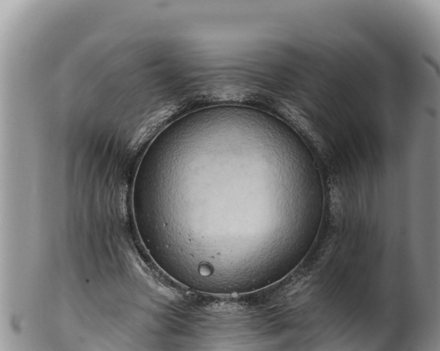 X0000102240537200808011250