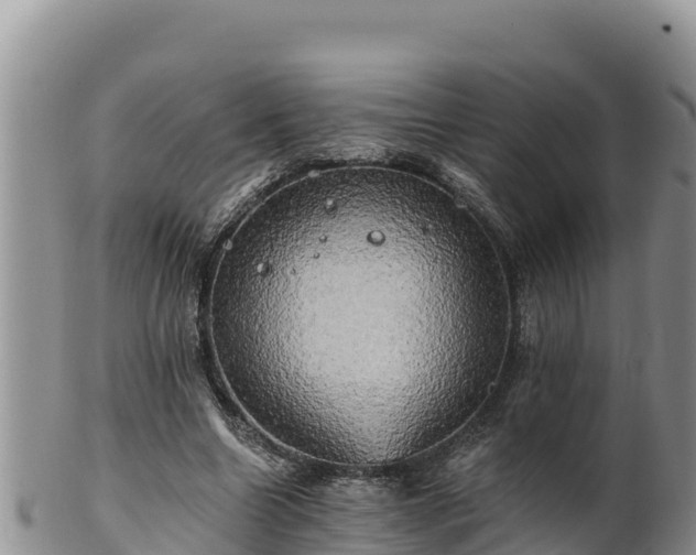 X0000102240538200808011250