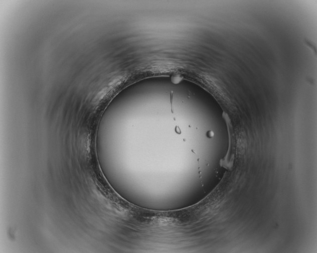 X0000102240539200808011250