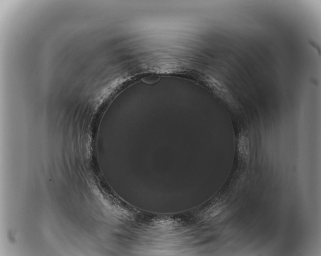 X0000102240540200808011250