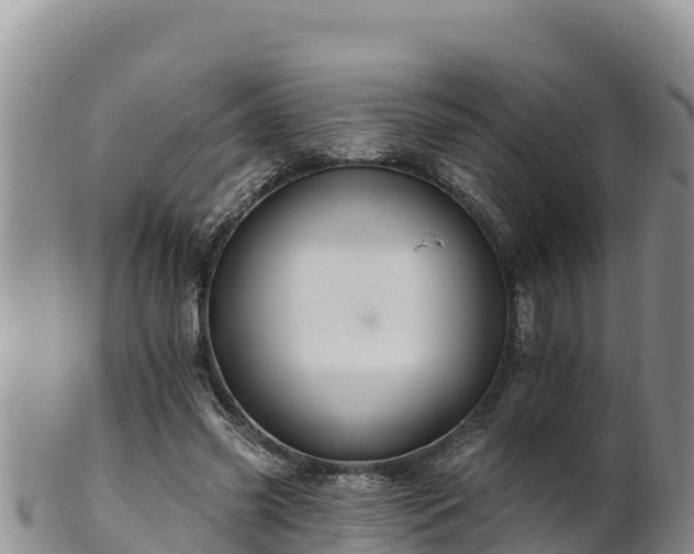 X0000102240541200808011250