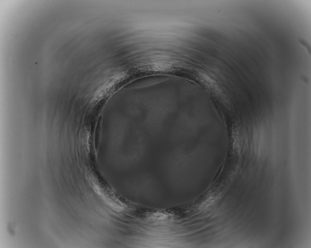 X0000102240542200808011250