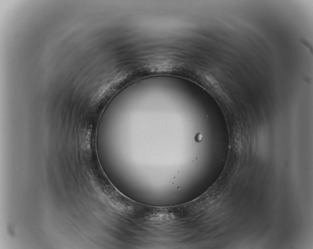 X0000102240543200808011250