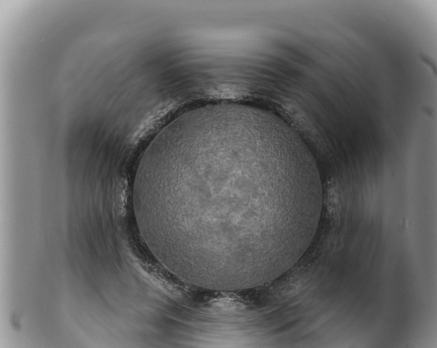 X0000102240544200808011250