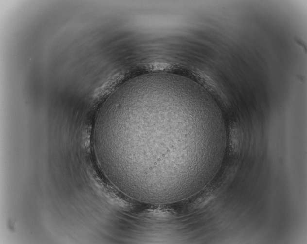 X0000102240545200808011250