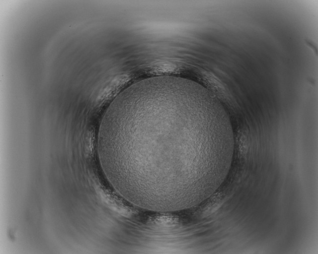 X0000102240546200808011250