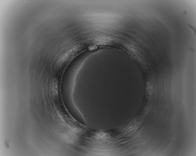 X0000102240547200808011250