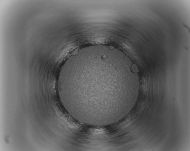 X0000102240548200808011250