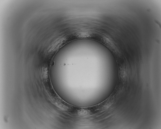 X0000102240549200808011250