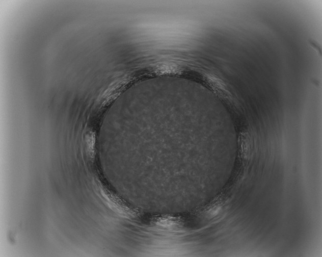 X0000102240550200808011250