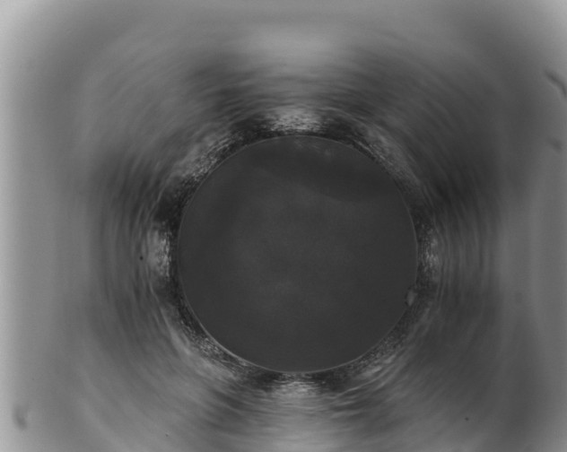 X0000102240551200808011250