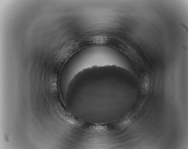 X0000102240553200808011250