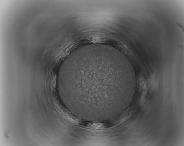 X0000102240554200808011250