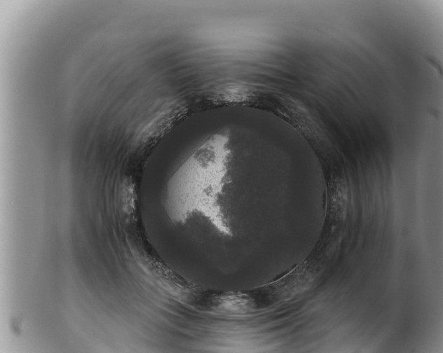 X0000102240555200808011250